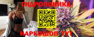 прущие грибы Краснознаменск