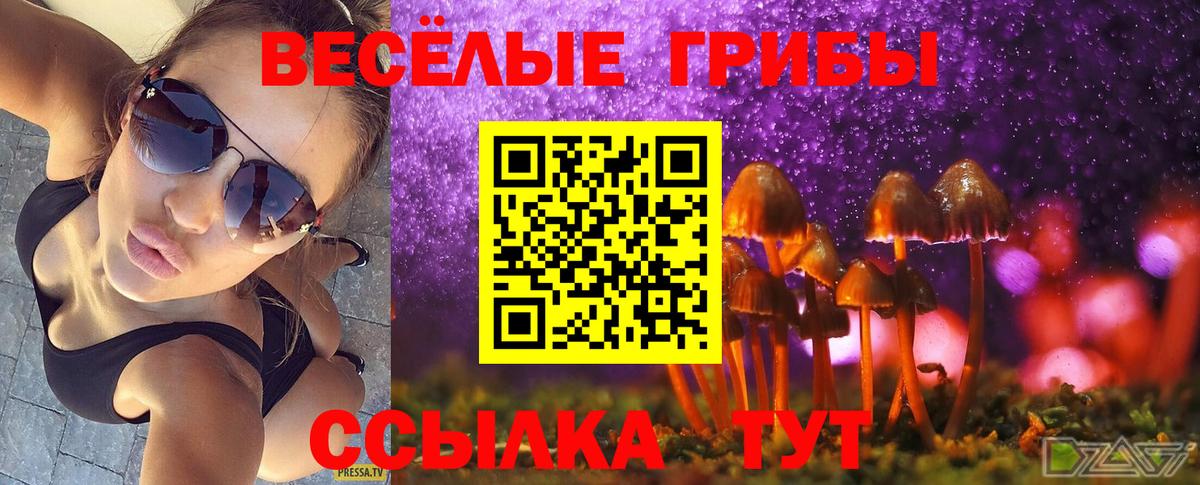 Галлюциногенные грибы прущие грибы Гусь-Хрустальный