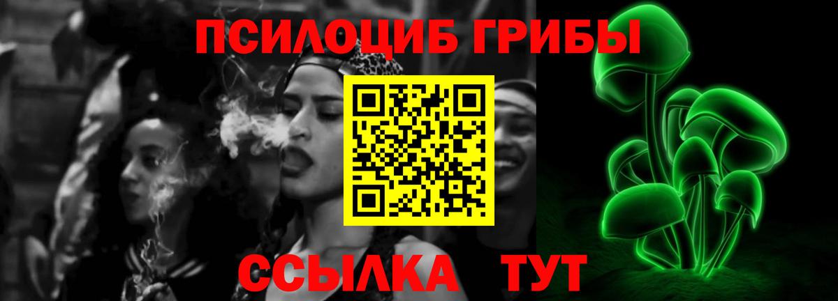 закладка  Псилоцибиновые грибы мухоморы  Гусь-Хрустальный  Вход с VPN  Галлюциногенные грибы мицелий 